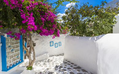 Dionysos Boutique Hotel 4*