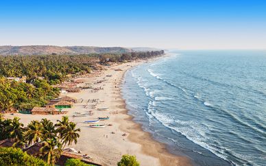 Planet Hollywood Beach Resort 4*