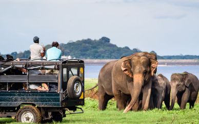 Private Sri Lanka Tour and Amaya Beach Passikudah 4*