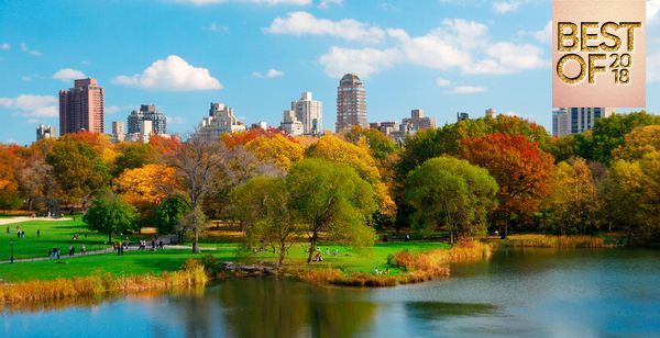 Holiday Inn NYC Times Square