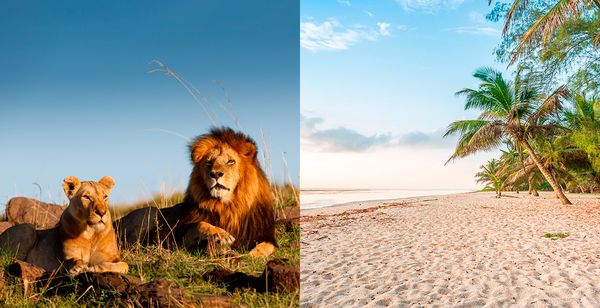 Neptune Mara Rianta Luxury Camp y Neptune Palm Beach Boutique Resort & Spa 