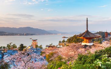 Individuele rondreis van 12 tot 16 nachten in Japan