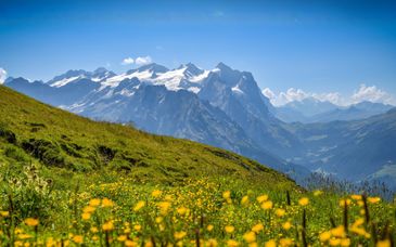 SWISSPEAK Resorts Meiringen by Pierre et Vacances 4*