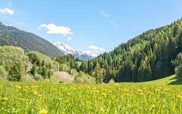 Hotel Alte Post St. Anton 4*S
