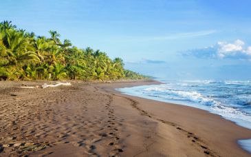 Roadtrip van 9 tot 19 nachten door Costa Rica + optioneel Crowne Plaza Panama 4*