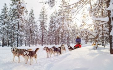 Avontuur van 4 tot 6 nachten in Lapland 