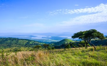 Privésafari in Rwanda gedurende 9 nachten