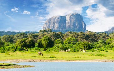 Groepsrondreis van 6 nachten door Sri Lanka + optioneel The Villas Wadduwa 5*