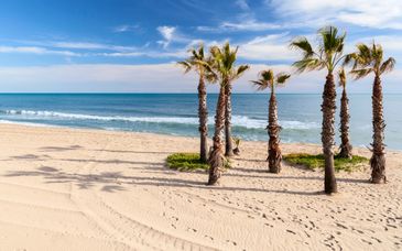 Ibersol Playa Dorada