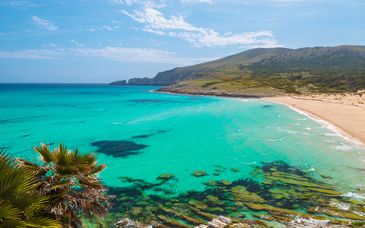 Smy Portocolom 4*
