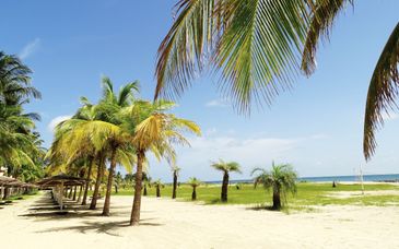Fascinerend West-Afrika + Ocean Bay Resort 4* 