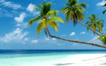 Diamonds Thudufushi Maldives 5*