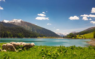 Kongress Hotel Davos 4*