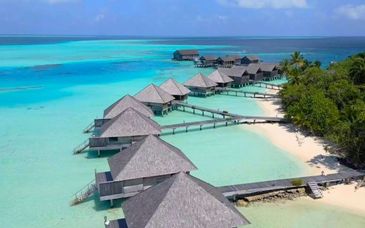 Gangehi Island Resort 4*