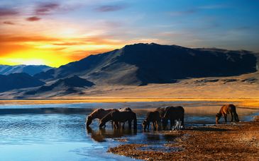 Tour Mongolei in 8 Nächten und mögliche Vorverlängerung in Peking