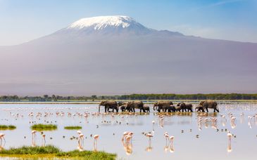 Private Safari mit Strandverlängerung White Paradise Zanzibar 4*