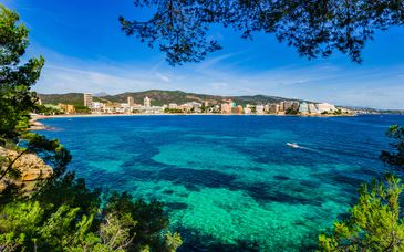 Tent Calvia Beach