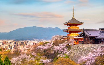 Rundreise in Eigenregie: Durch Japan mit inbegriffenen Zugfahrkarten