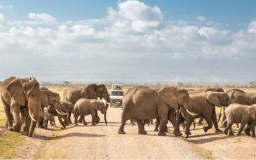 Leopard Beach Resort & Spa 5* mit Safari 