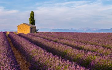 Hotel Mercure Aix-en-Provence 4* und Hotel Villa Borghese 4*