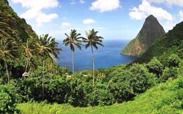 Ab Mai: Royalton Saint Lucia 5*