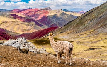 Private Rundreise: Die Highlights von Peru & optionale Verlängerung im Amazonas