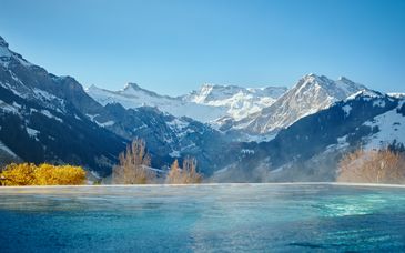 The Cambrian Adelboden 4*
