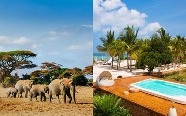 Safari und Fruit & Spice Wellness Resort Zanzibar 5*