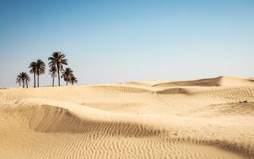 Hotel César Thalasso 4*