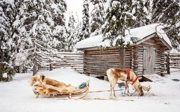 Magischer Winter in Lappland mit Besuch des Weihnachtsmannes