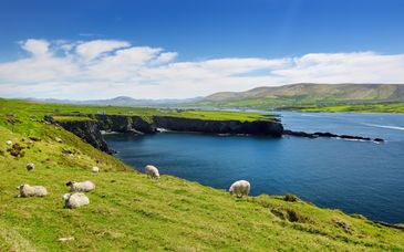 Roadtrip: Keltisches Abenteuer mit Mietwagen