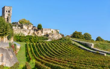 Circuito en libertad en hoteles 4*: Por la ruta de los grandes vinos