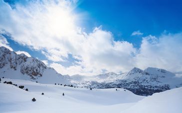 Ski Plaza & Wellness 4*