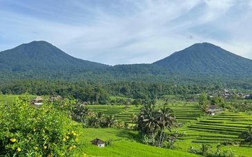 Hotel Anandadara Ubud 5*, y Hotel Courtyard Marriott Nusa Dua 5* con estancia opcional en Angkal Resort Penida 4*