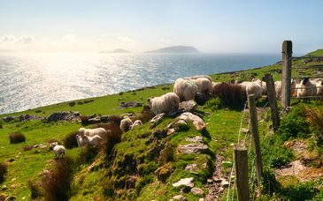 Autotour: Escapada Irlandesa en 5 o 6 noches