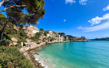 Hotel Terreno Barrio 5*