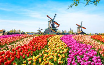 Descubre Ámsterdam con Hotel Pestana Amsterdam Riverside 5*