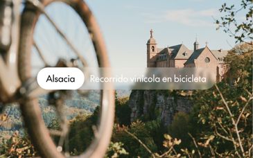 Ruta de los Vinos de Alsacia en 2 noches con posible preextensión en Estrasburgo