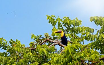 Las maravillas de Costa Rica con posible preextensión en Panamá