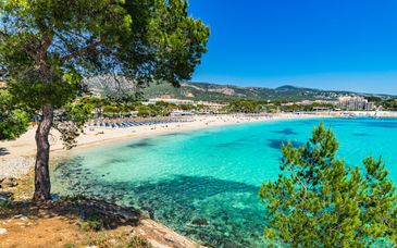 Hotel Fergus Bermudas 4*