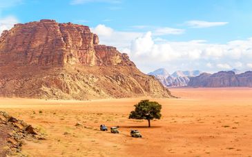 Joyas del Mar Muerto y Wadi Rum en 7 noches 