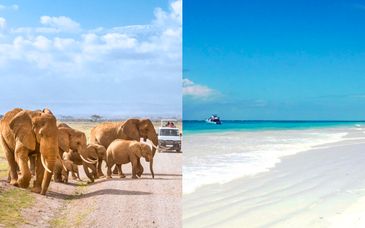Circuito Privado: Safari Sombras del Monte Kilimanjaro y Diani Sea Resort 4* de 7 a 14 noches