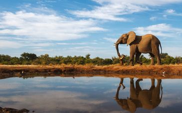 Royal Kruger Lodge 4*