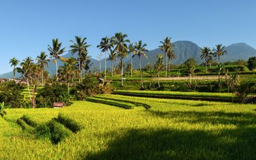 Circuito en libertad: Lo mejor de Bali y Gili Trawangan de 9 a 18 noches