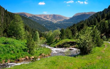 Hotel Spa Termes Carlemany 4* + Caldea