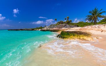 Jet tours signature Riu Playacar 5*