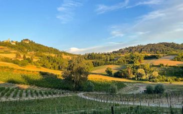 Hemanaire Slow Living Valley 4*