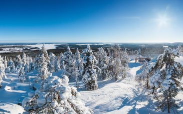 Circuit privé : L'hiver arctique avec pré-extension possible à Stockholm