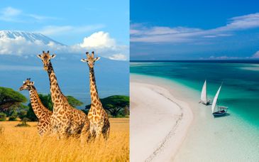 Safari privé au Kenya et AHG Hisia Nungwi 4*