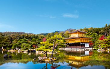 Circuit en liberté : Le Japon au gré des saisons